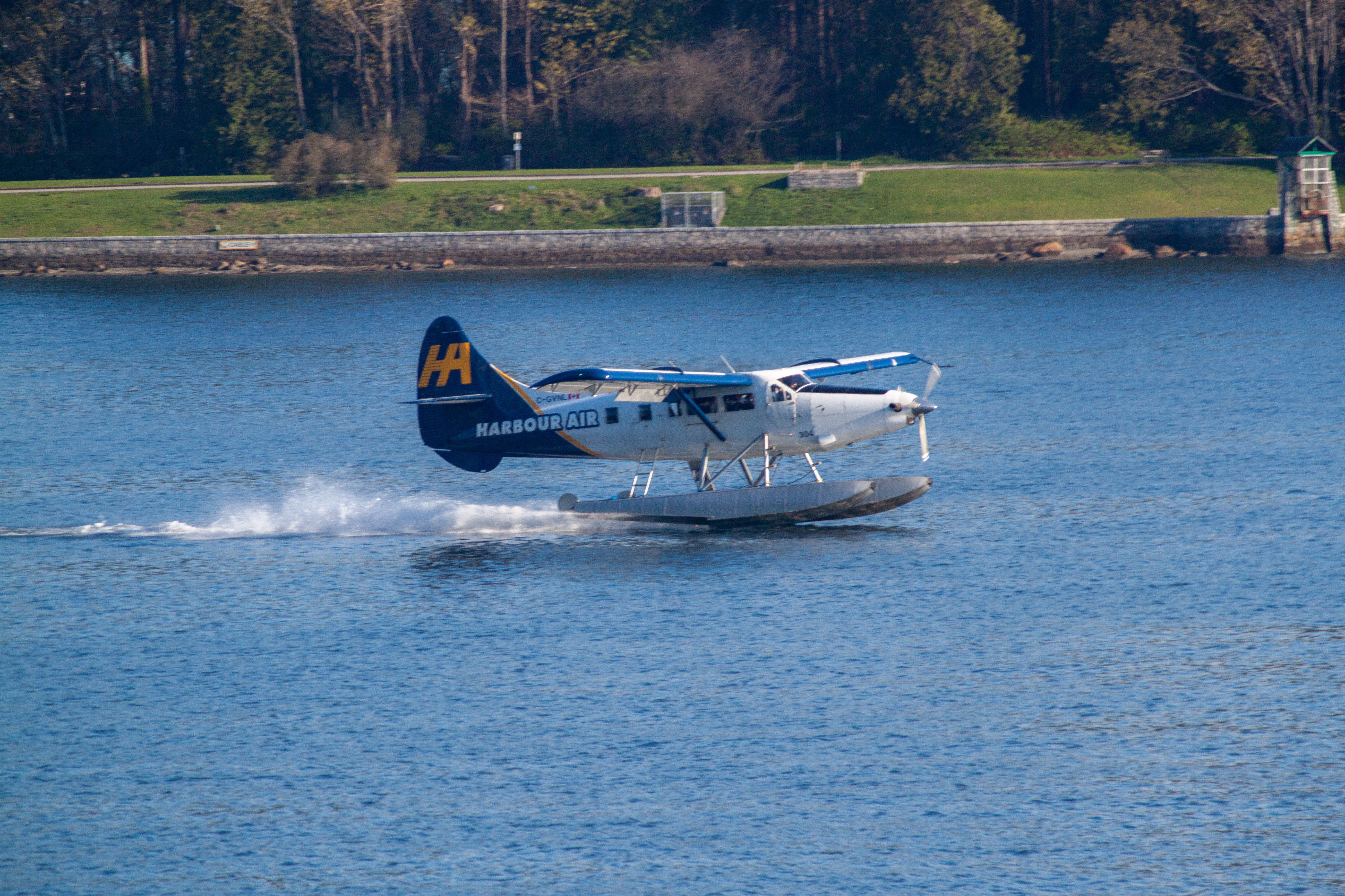 Harbour Air Beaver gliding across the water
