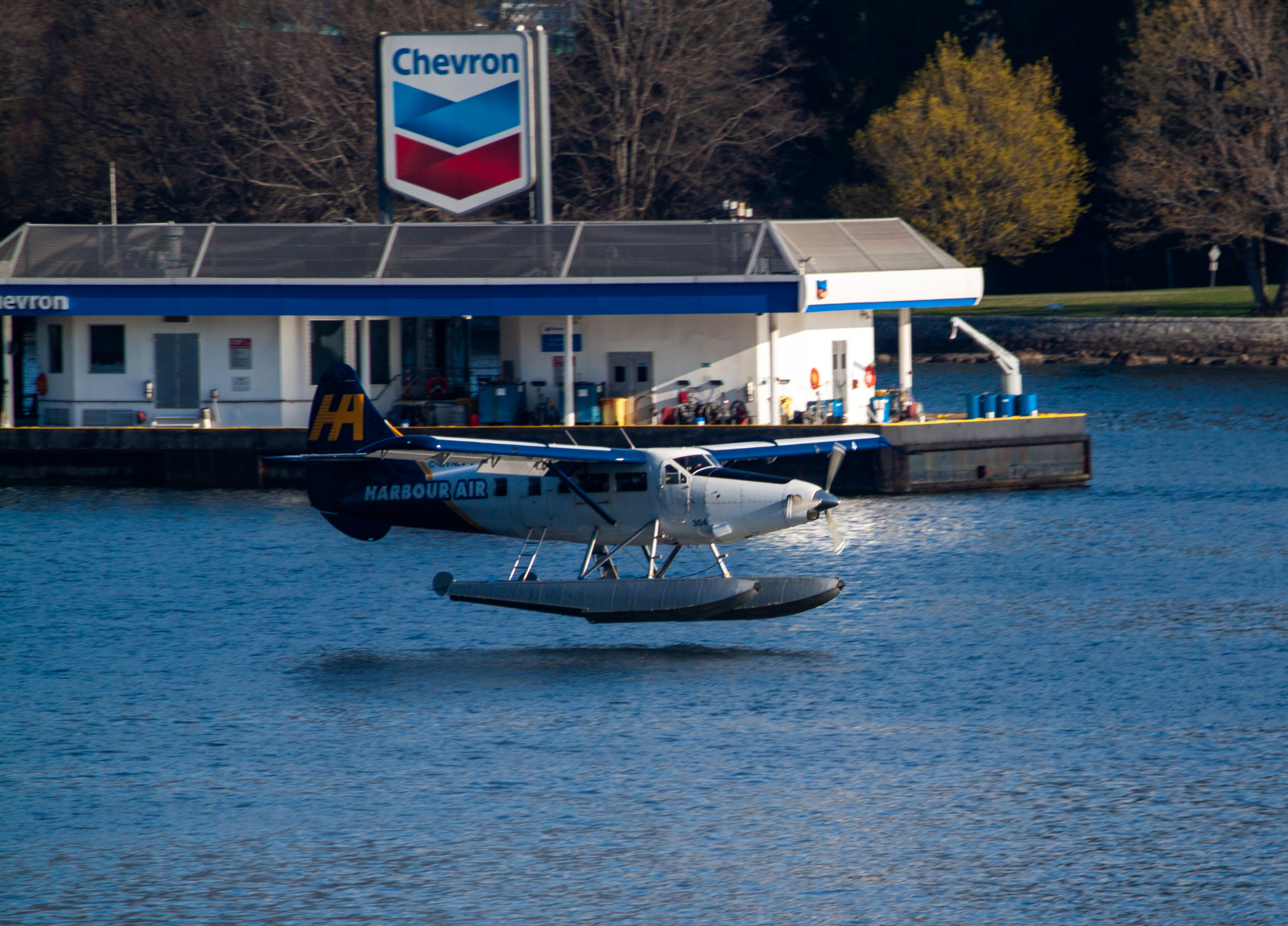 Harbour Air plane about to land