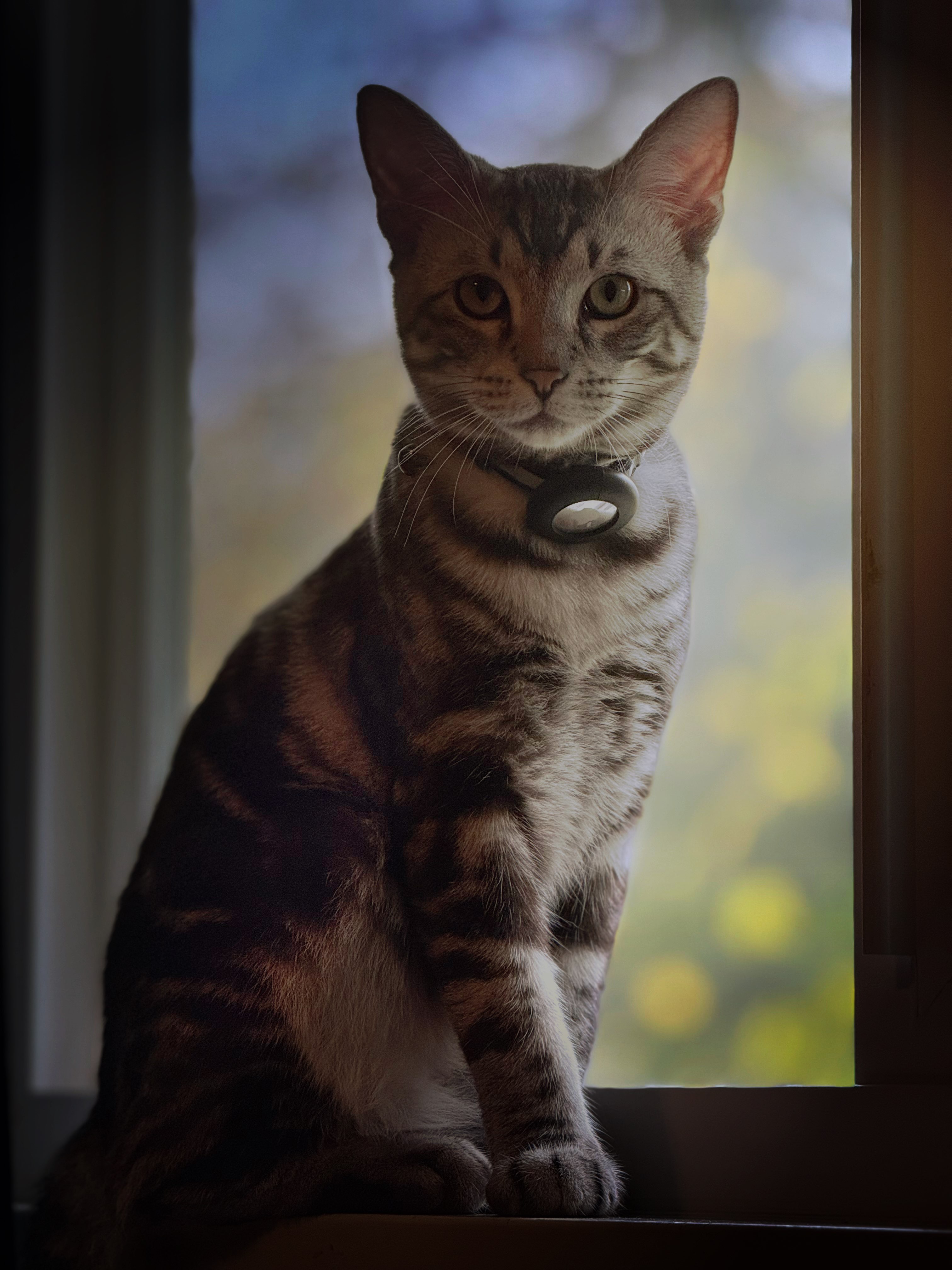Portrait Session